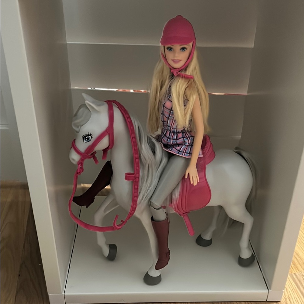 Barbie with Horse and Pink Riding Gear